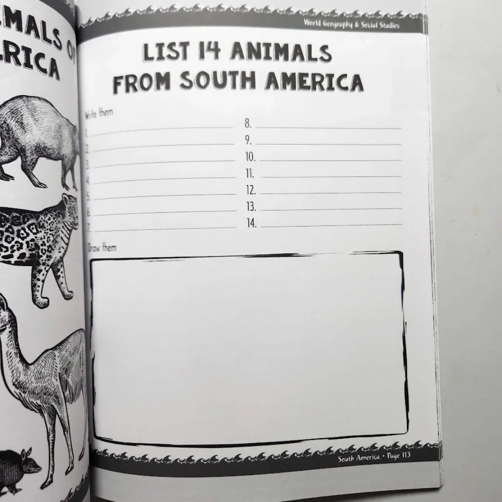 Book Seven Amazing Continents Travel Dreams Geography & Social Studies Workbook
